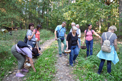 2018 09 19 1836.jpga250